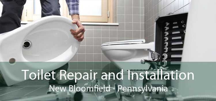 Toilet Repair and Installation New Bloomfield - Pennsylvania