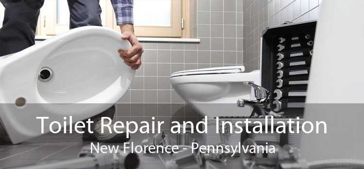 Toilet Repair and Installation New Florence - Pennsylvania