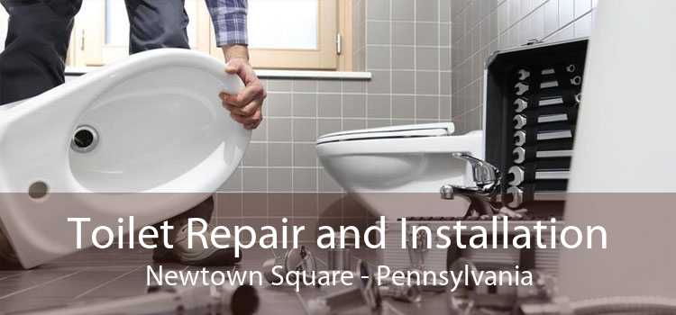 Toilet Repair and Installation Newtown Square - Pennsylvania