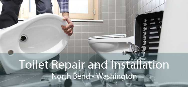 Toilet Repair and Installation North Bend - Washington