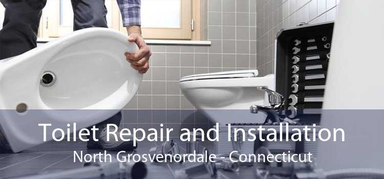 Toilet Repair and Installation North Grosvenordale - Connecticut
