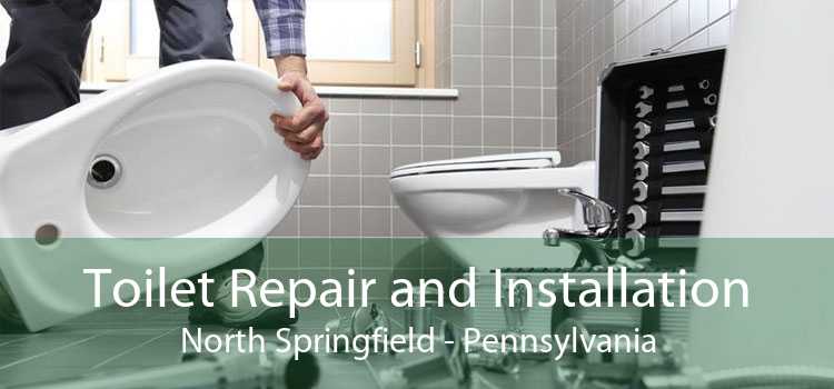 Toilet Repair and Installation North Springfield - Pennsylvania