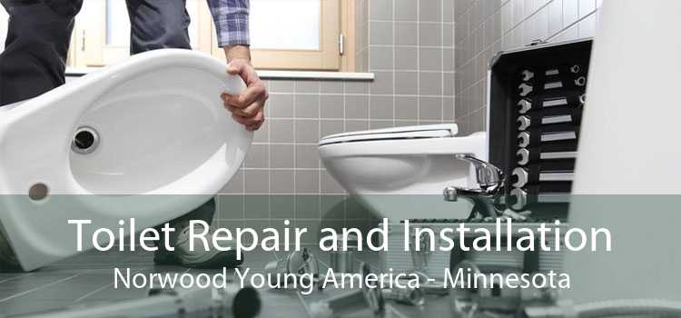 Toilet Repair and Installation Norwood Young America - Minnesota