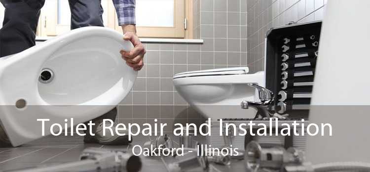 Toilet Repair and Installation Oakford - Illinois