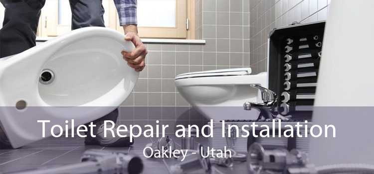 Toilet Repair and Installation Oakley - Utah