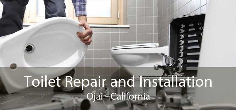 Toilet Repair and Installation Ojai - California