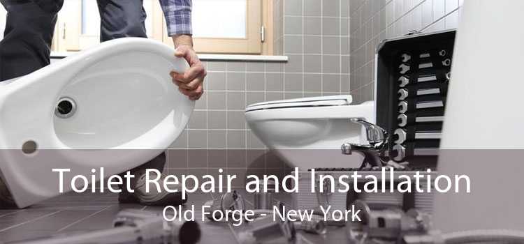 Toilet Repair and Installation Old Forge - New York