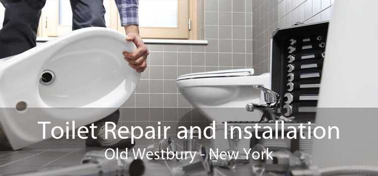 Toilet Repair and Installation Old Westbury - New York