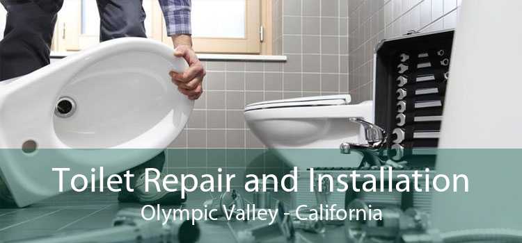 Toilet Repair and Installation Olympic Valley - California