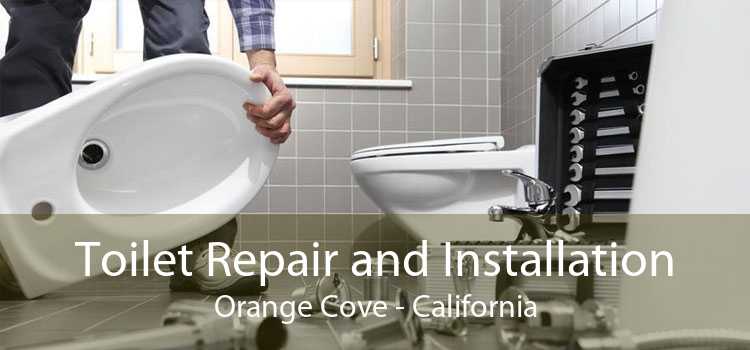 Toilet Repair and Installation Orange Cove - California