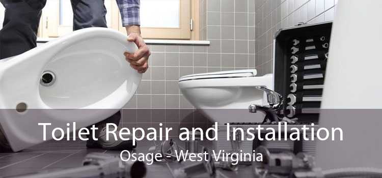 Toilet Repair and Installation Osage - West Virginia