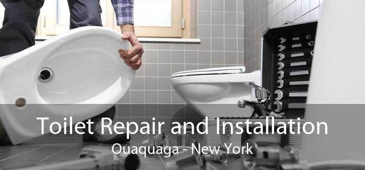 Toilet Repair and Installation Ouaquaga - New York