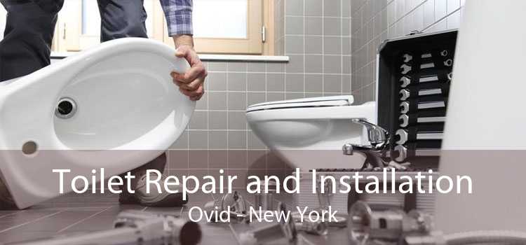 Toilet Repair and Installation Ovid - New York