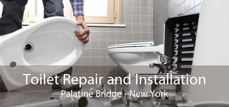 Toilet Repair and Installation Palatine Bridge - New York