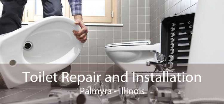 Toilet Repair and Installation Palmyra - Illinois