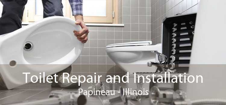 Toilet Repair and Installation Papineau - Illinois