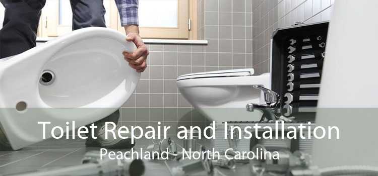 Toilet Repair and Installation Peachland - North Carolina