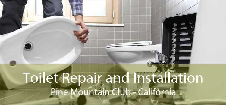 Toilet Repair and Installation Pine Mountain Club - California