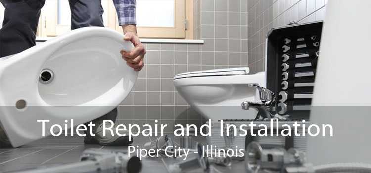 Toilet Repair and Installation Piper City - Illinois