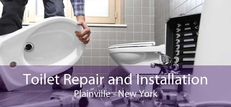 Toilet Repair and Installation Plainville - New York