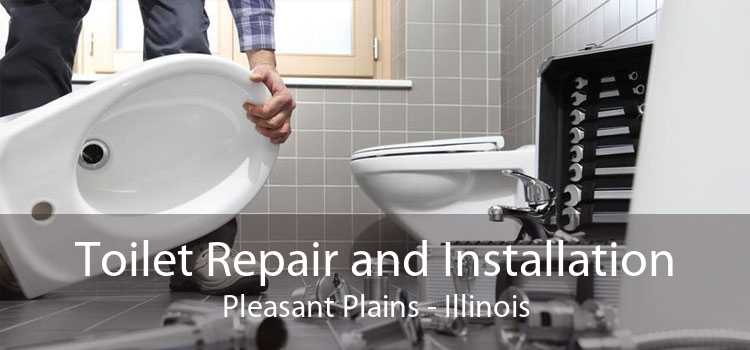 Toilet Repair and Installation Pleasant Plains - Illinois