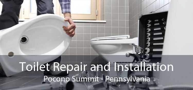 Toilet Repair and Installation Pocono Summit - Pennsylvania