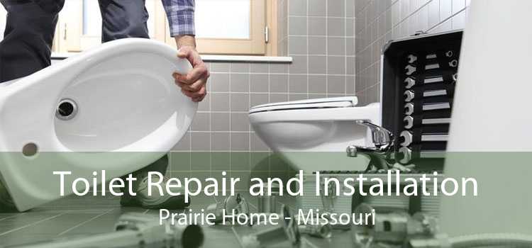 Toilet Repair and Installation Prairie Home - Missouri