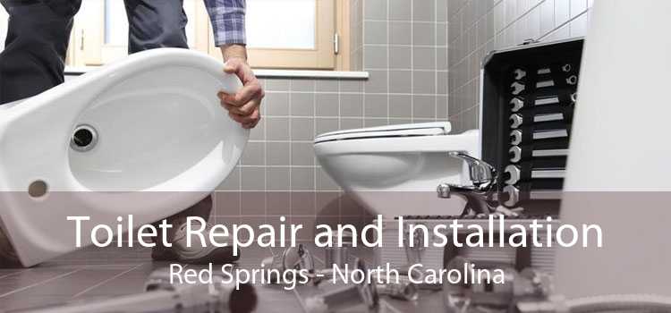 Toilet Repair and Installation Red Springs - North Carolina