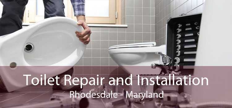 Toilet Repair and Installation Rhodesdale - Maryland