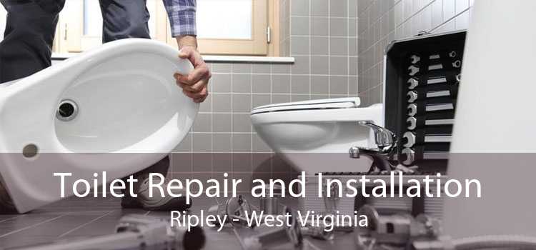 Toilet Repair and Installation Ripley - West Virginia