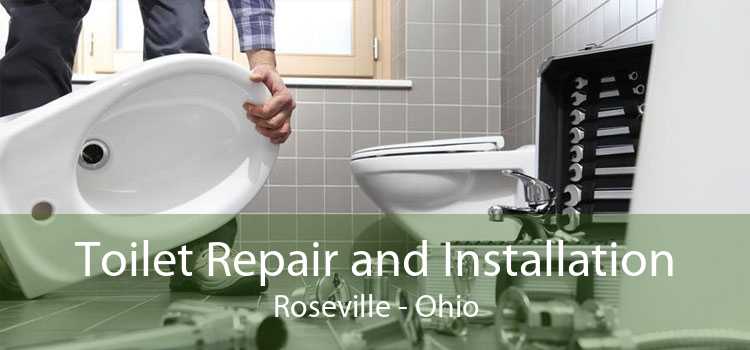 Toilet Repair and Installation Roseville - Ohio
