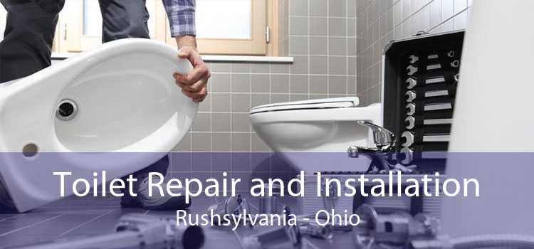 Toilet Repair and Installation Rushsylvania - Ohio