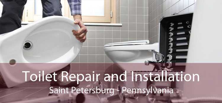 Toilet Repair and Installation Saint Petersburg - Pennsylvania