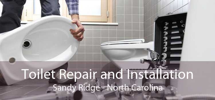 Toilet Repair and Installation Sandy Ridge - North Carolina