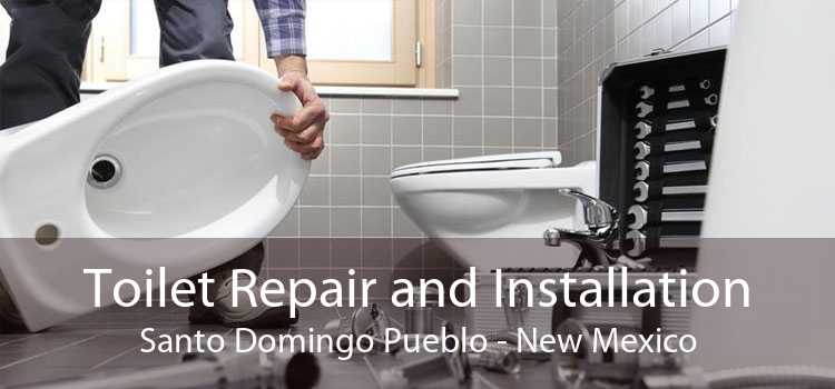 Toilet Repair and Installation Santo Domingo Pueblo - New Mexico