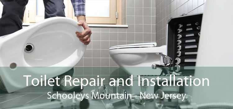 Toilet Repair and Installation Schooleys Mountain - New Jersey