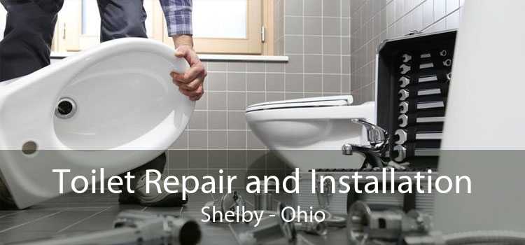 Toilet Repair and Installation Shelby - Ohio