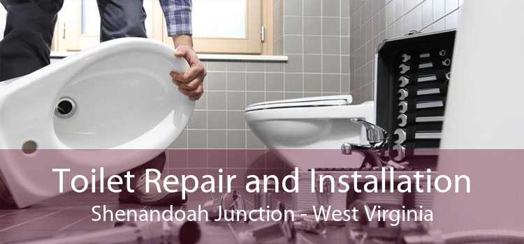 Toilet Repair and Installation Shenandoah Junction - West Virginia