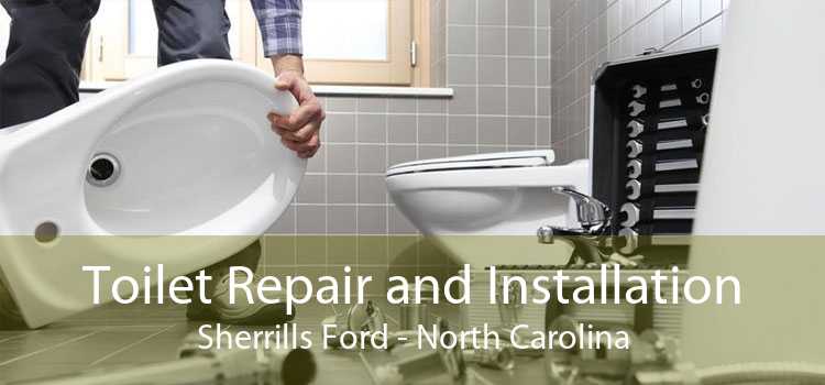 Toilet Repair and Installation Sherrills Ford - North Carolina