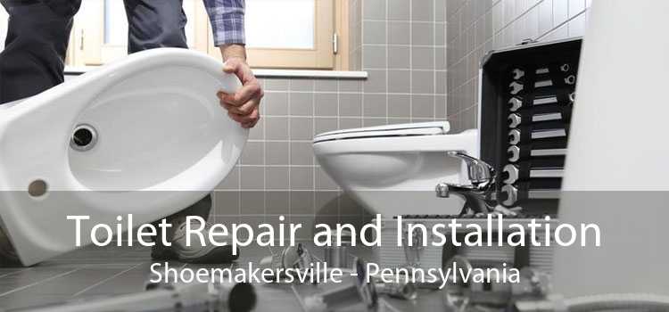Toilet Repair and Installation Shoemakersville - Pennsylvania