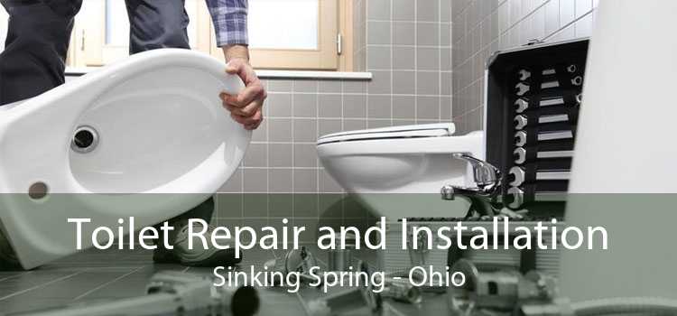 Toilet Repair and Installation Sinking Spring - Ohio