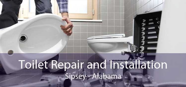 Toilet Repair and Installation Sipsey - Alabama