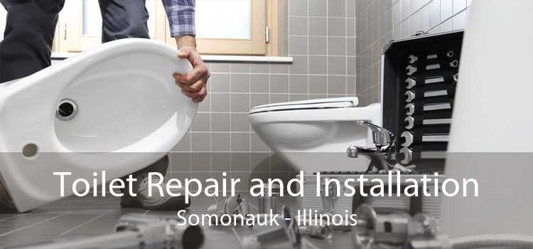 Toilet Repair and Installation Somonauk - Illinois