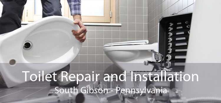 Toilet Repair and Installation South Gibson - Pennsylvania