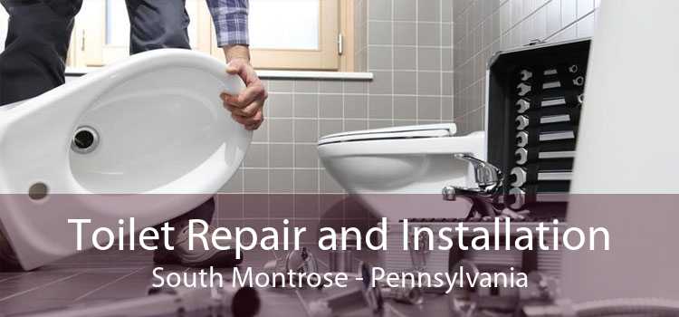 Toilet Repair and Installation South Montrose - Pennsylvania
