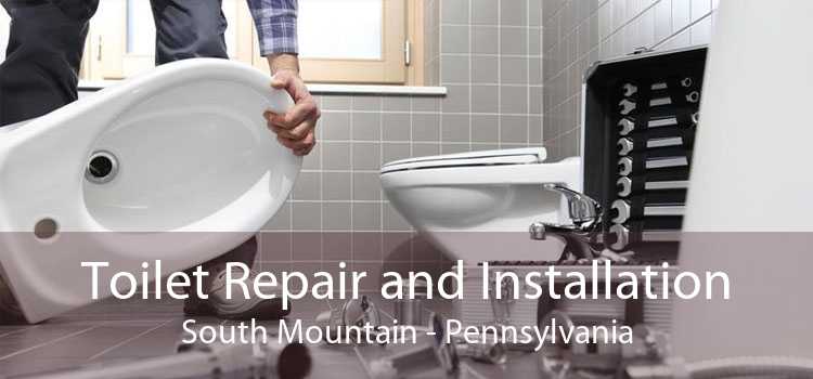 Toilet Repair and Installation South Mountain - Pennsylvania