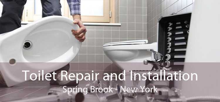 Toilet Repair and Installation Spring Brook - New York
