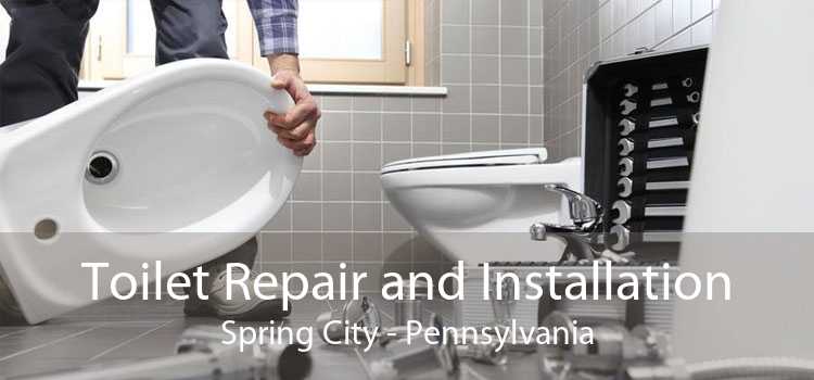 Toilet Repair and Installation Spring City - Pennsylvania