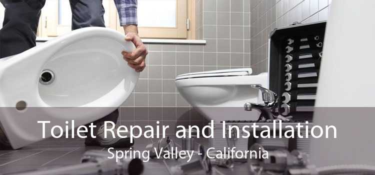 Toilet Repair and Installation Spring Valley - California