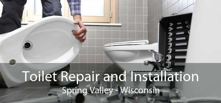 Toilet Repair and Installation Spring Valley - Wisconsin